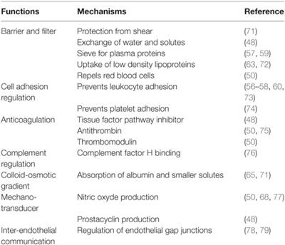 The Role of Plasma Transfusion in Massive Bleeding: Protecting the Endothelial Glycocalyx?